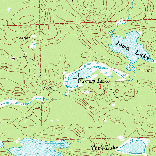 Topographic Map of Corny Lake, MN