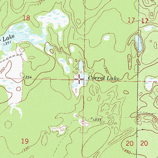 Topographic Map of Corral Lake, MN