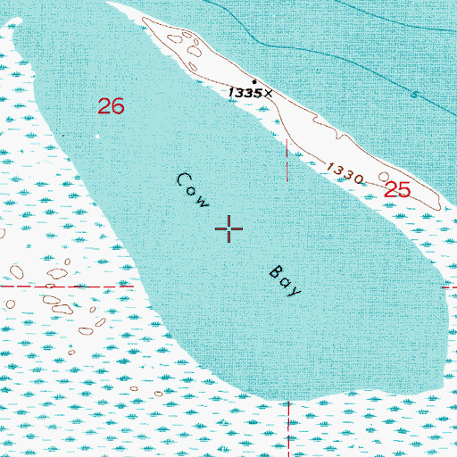 Topographic Map of Cow Bay, MN