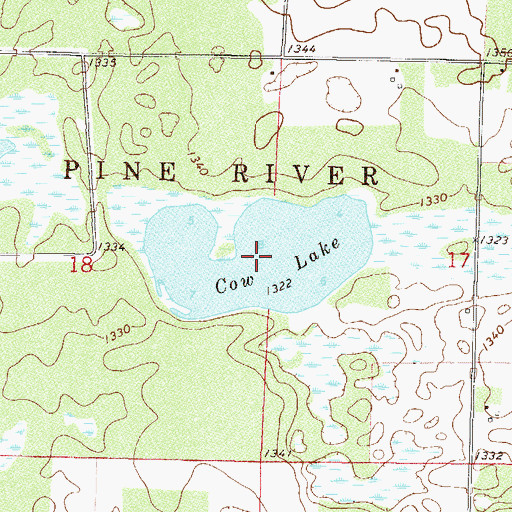 Topographic Map of Cow Lake, MN