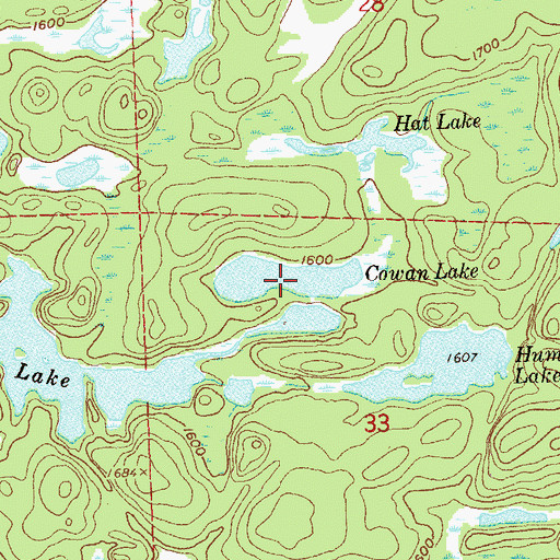 Topographic Map of Cowan Lake, MN