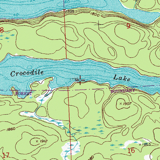 Topographic Map of Crocodile Lake, MN