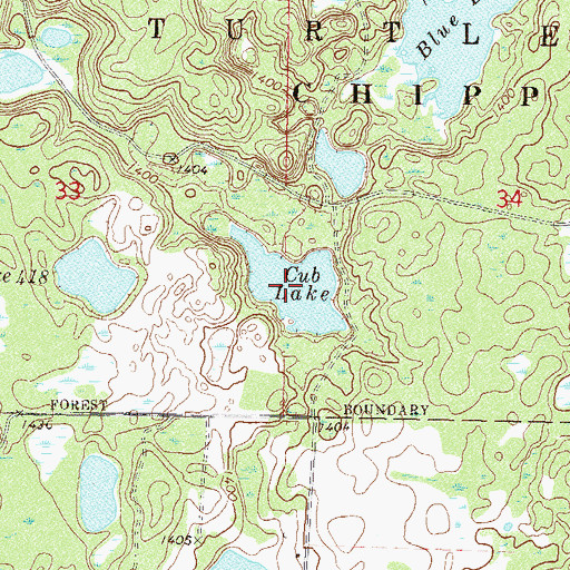 Topographic Map of Cub Lake, MN