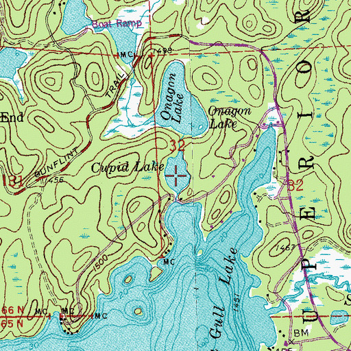 Topographic Map of Cupid Lake, MN