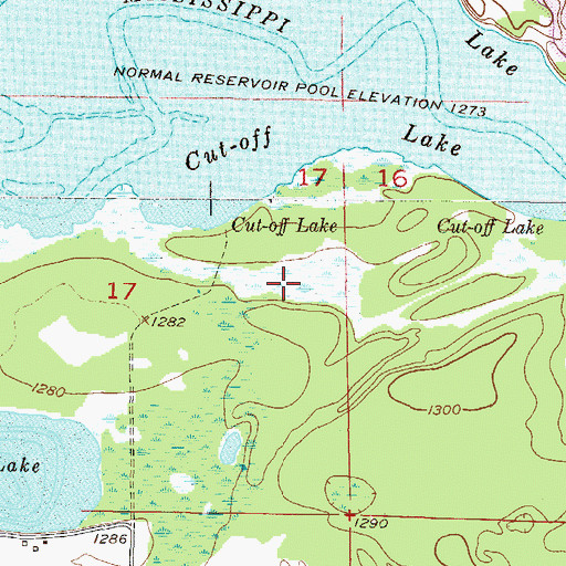 Topographic Map of Cut-off Lake, MN