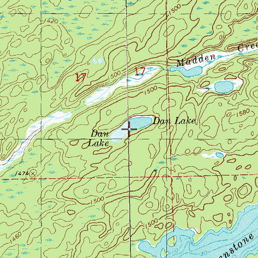 Topographic Map of Dan Lake, MN
