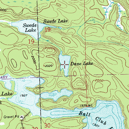 Topographic Map of Dane Lake, MN
