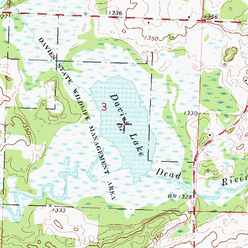 Topographic Map of Davies Lake, MN