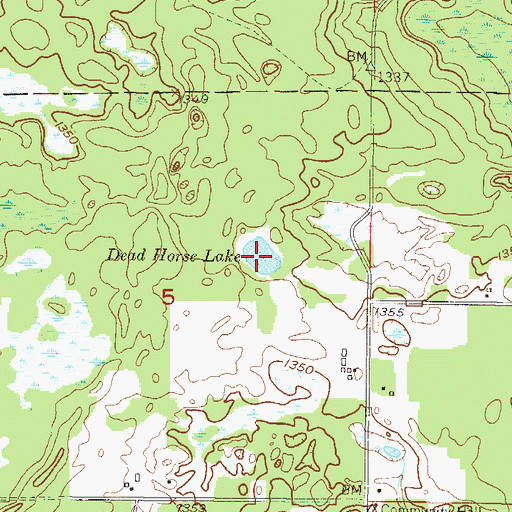 Topographic Map of Dead Horse Lake, MN