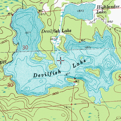 Topographic Map of Devilfish Lake, MN