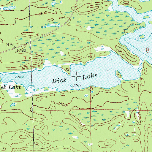 Topographic Map of Dick Lake, MN