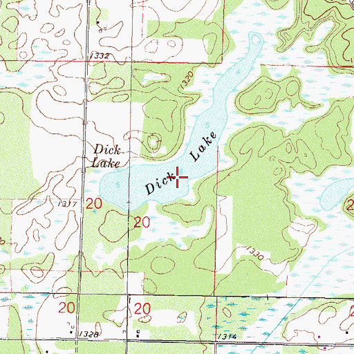 Topographic Map of Dick Lake, MN