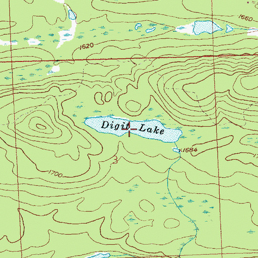 Topographic Map of Digit Lake, MN