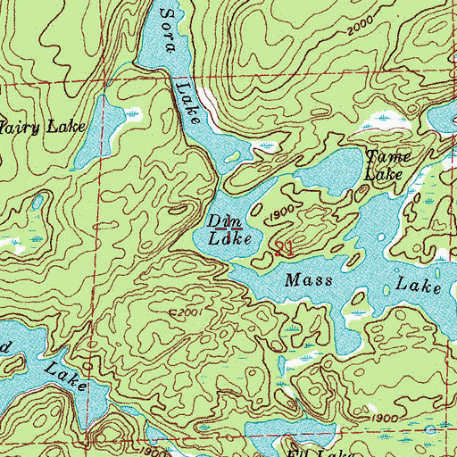 Topographic Map of Din Lake, MN