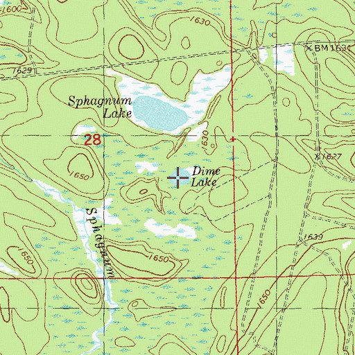 Topographic Map of Dime Lake, MN