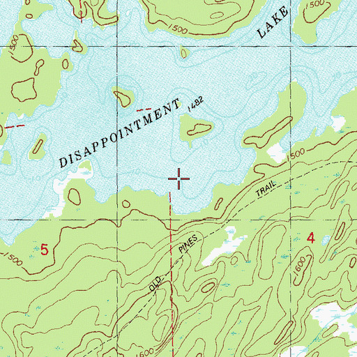 Topographic Map of Disappointment Lake, MN