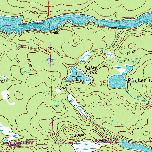 Topographic Map of Ditty Lake, MN