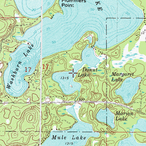 Topographic Map of Donut Lake, MN