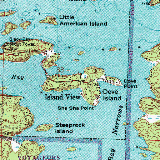 Topographic Map of Dove Island, MN