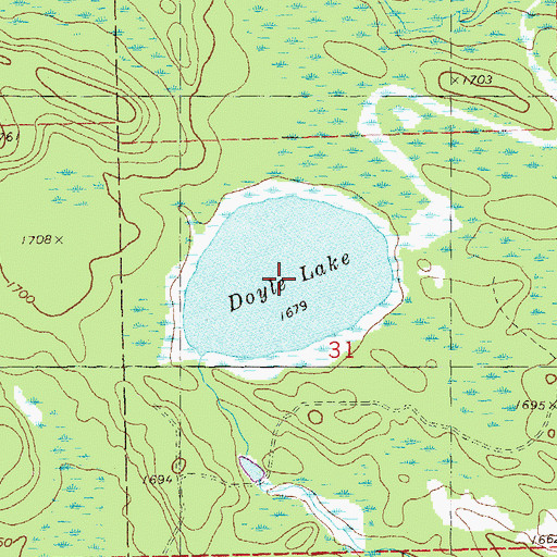 Topographic Map of Doyle Lake, MN