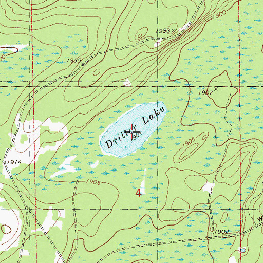 Topographic Map of Driller Lake, MN