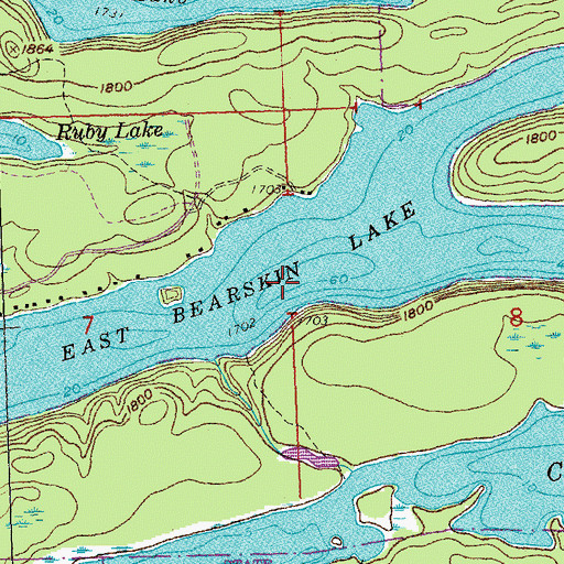 Topographic Map of East Bearskin Lake, MN