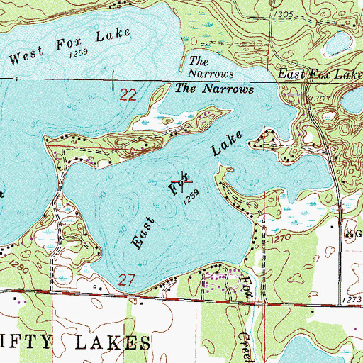 Topographic Map of East Fox Lake, MN