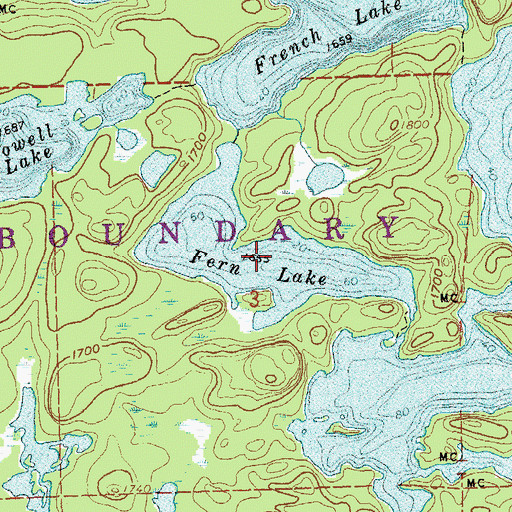 Topographic Map of Fern Lake, MN