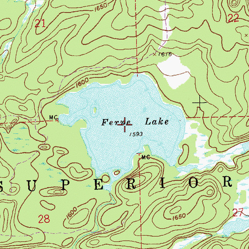 Topographic Map of Ferne Lake, MN