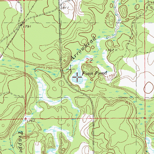 Topographic Map of Finn Pond, MN