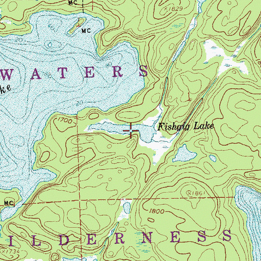 Topographic Map of Fishgig Lake, MN