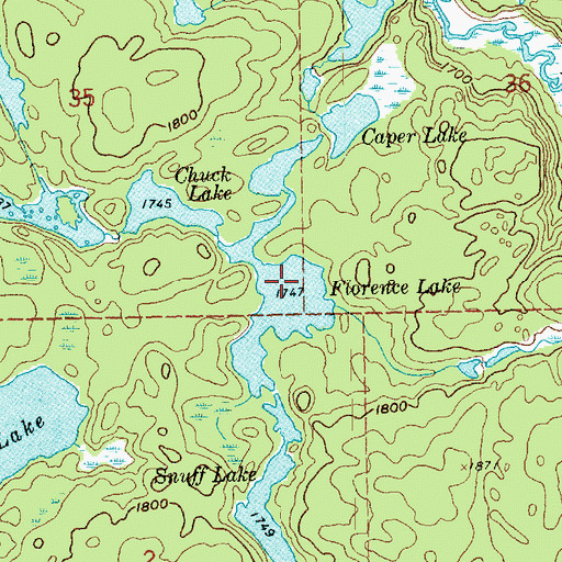 Topographic Map of Florence Lake, MN