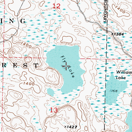 Topographic Map of Fly Lake, MN