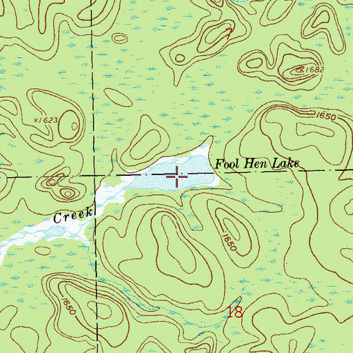 Topographic Map of Fool Hen Lake, MN