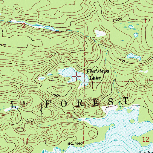 Topographic Map of Footsteps Lake, MN