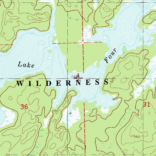 Topographic Map of Lake Four, MN