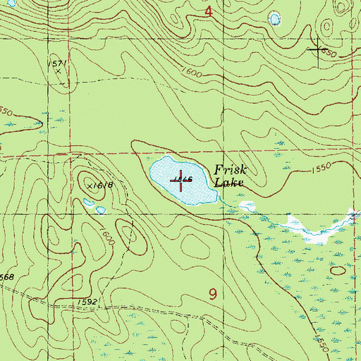 Topographic Map of Frisk Lake, MN