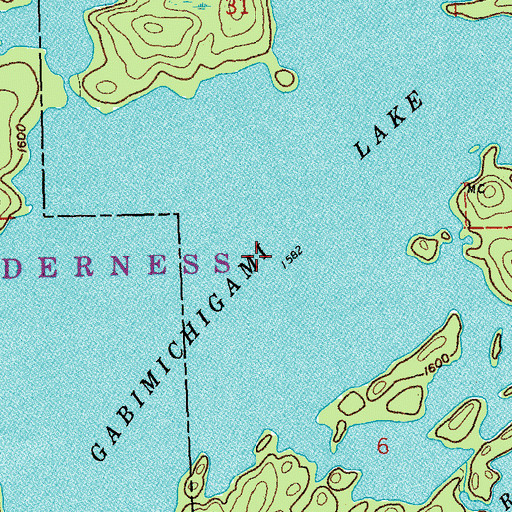 Topographic Map of Gabimichigami Lake, MN