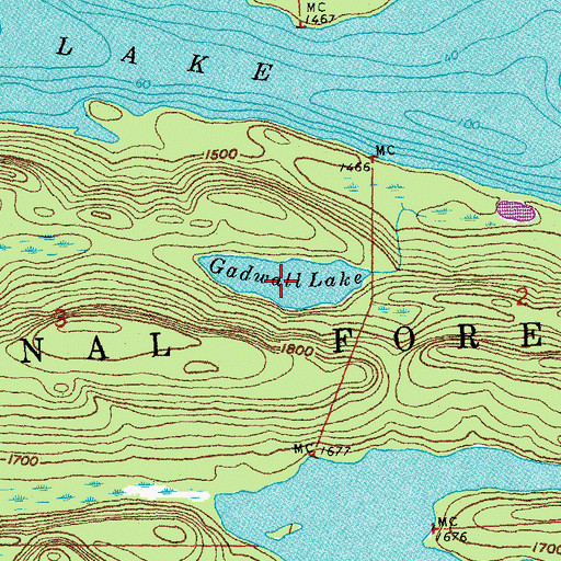Topographic Map of Gadwall Lake, MN