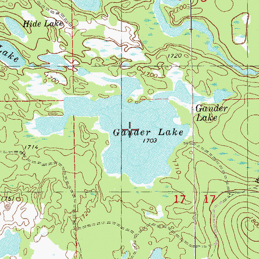 Topographic Map of Gander Lake, MN