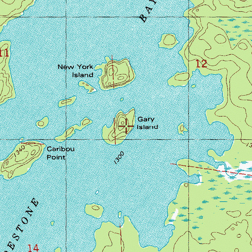 Topographic Map of Gary Island, MN