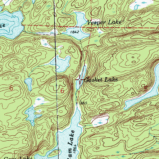 Topographic Map of Gasket Lake, MN