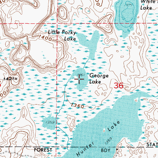 Topographic Map of George Lake, MN