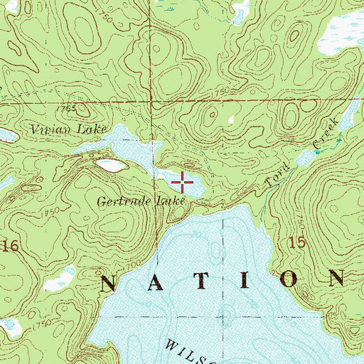 Topographic Map of Gertrude Lake, MN