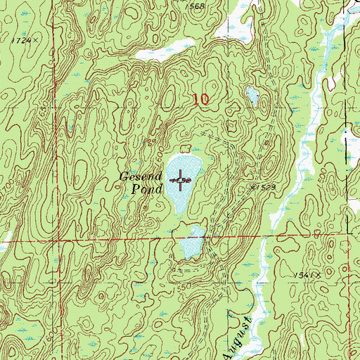 Topographic Map of Gesend Pond, MN
