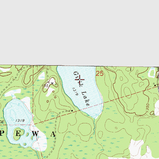 Topographic Map of Gijik Lake, MN