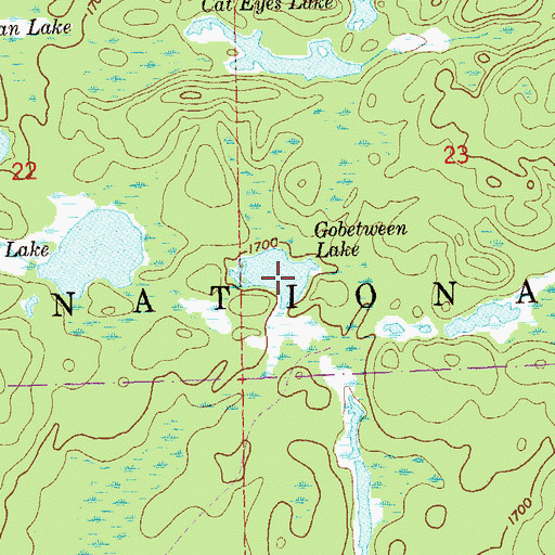 Topographic Map of Gobetween Lake, MN