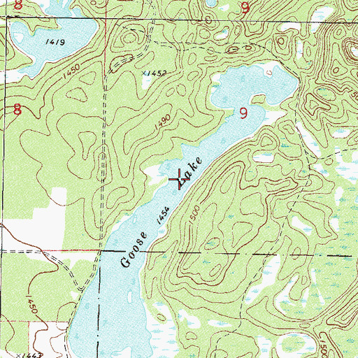 Topographic Map of Goose Lake, MN