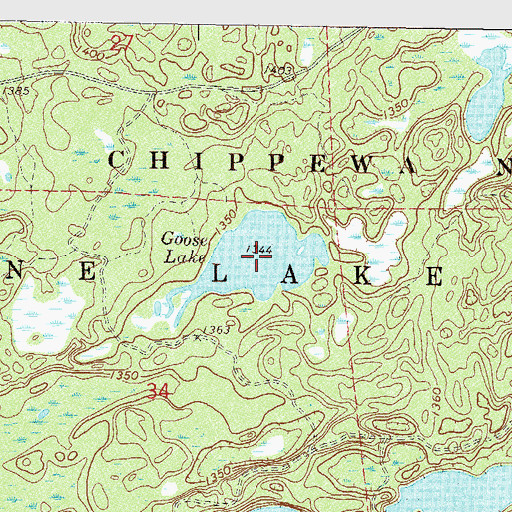 Topographic Map of Goose Lake, MN