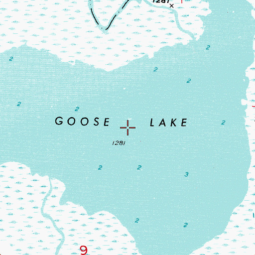 Topographic Map of Goose Lake, MN